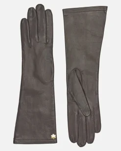 SOPHIA 6