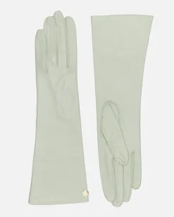 SOPHIA 6